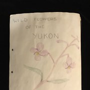 Cover image of Wildflowers Scrapbook